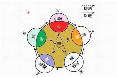 南方丙丁火|「四柱八字」十天干的五行属性和阴阳属性